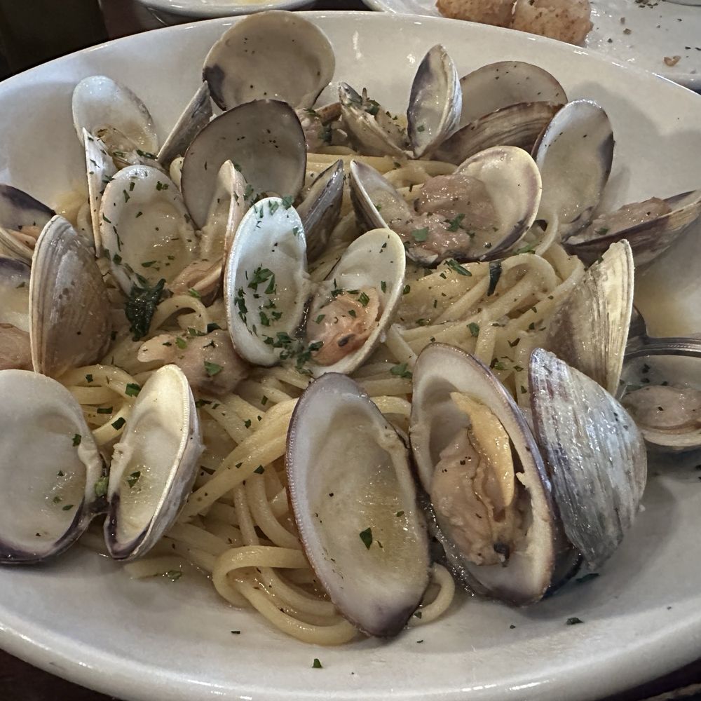 Calo Ristorante - Linguine Vongole - Pizza Near Me - Chicago, Illinois Calo Ristorante - Linguine Vongole - Pizza Near Me - Chicago, Illinois
