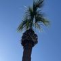 Photo of Bob's Tree Service