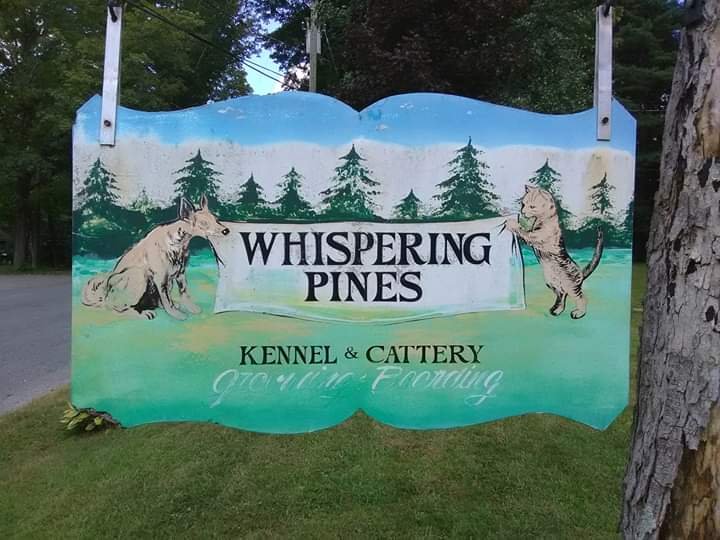 WHISPERING PINES KENNEL AND CATTERY Updated June 2024 19 Wilbur Rd