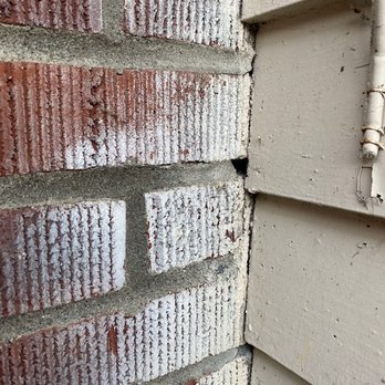 Saela - Pest Control Near Me - Lynnwood, Washington Saela - Pest Control Near Me - Lynnwood, Washington
