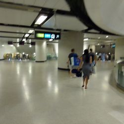港鐵金鐘站 - Platforms