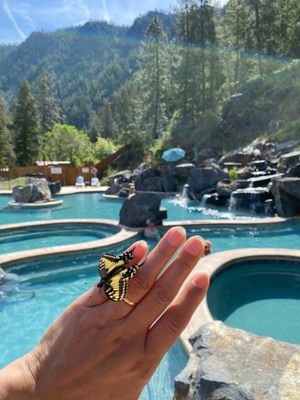 Quinn's Hot Springs Resort by null