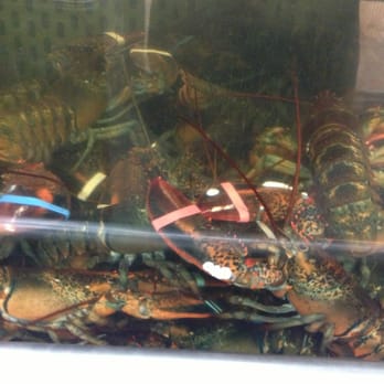 Diana's Seafood - Lobsters! - Seafood Markets Near Me - Toronto, Ontario