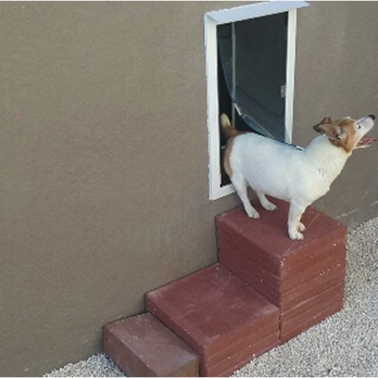 Tailwagger Pet Doors - Doggy Door - Pet Services Near Me - Holiday, Florida Tailwagger Pet Doors - Doggy Door - Pet Services Near Me - Holiday, Florida