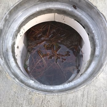 Authority Pool & Spa Repairs - Pool Cleaners Near Me - Azusa, California Authority Pool & Spa Repairs - Pool Cleaners Near Me - Azusa, California