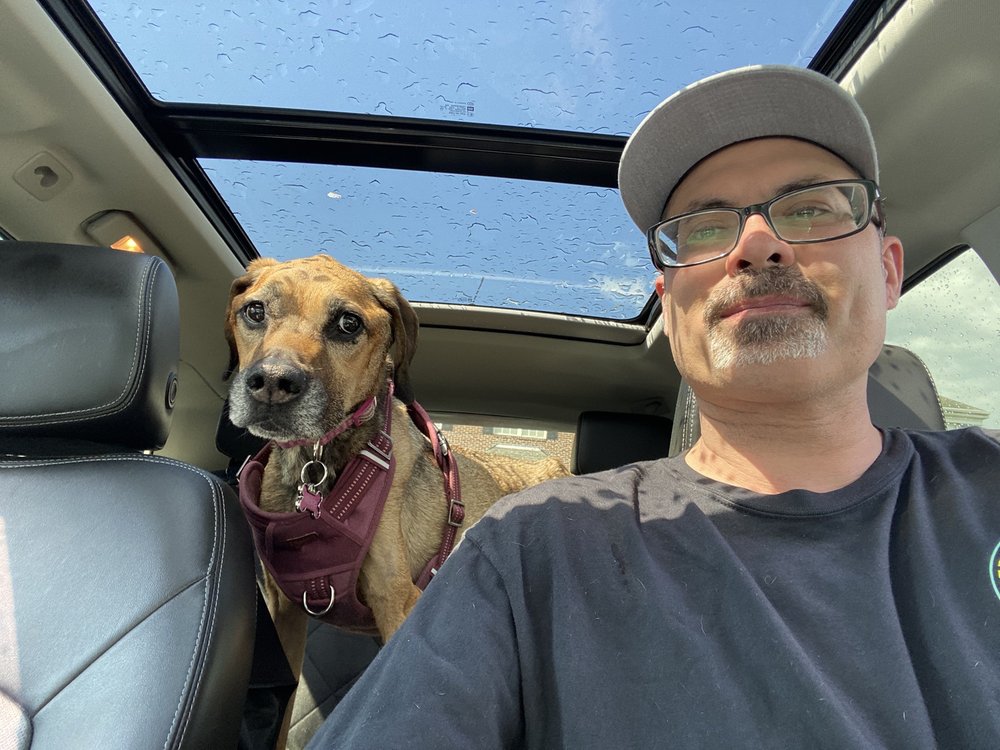 OLD FARM VETERINARY HOSPITAL Updated October 2024 22 Reviews 100