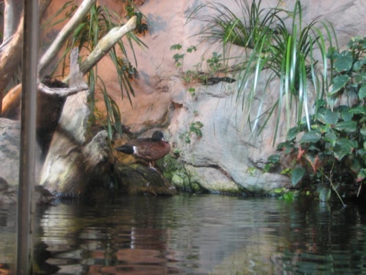 SEA LIFE Sydney Aquarium by null