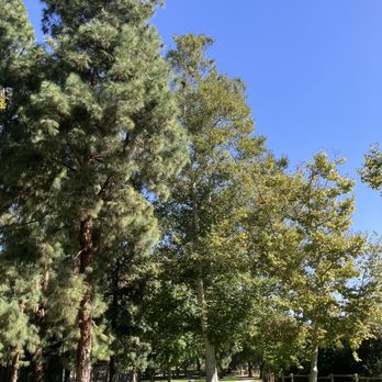 Carbon Canyon Regional Park - Parks Near Me - Brea, California