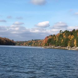 Starlight Marina - Swinging Bridge Reservoir