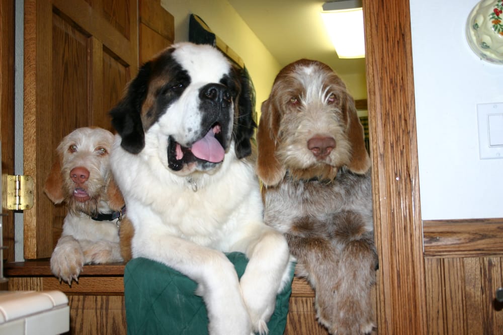 MOUNTAIN VALLEY K9 TO 5 Updated September 2024 33 E 4000th S