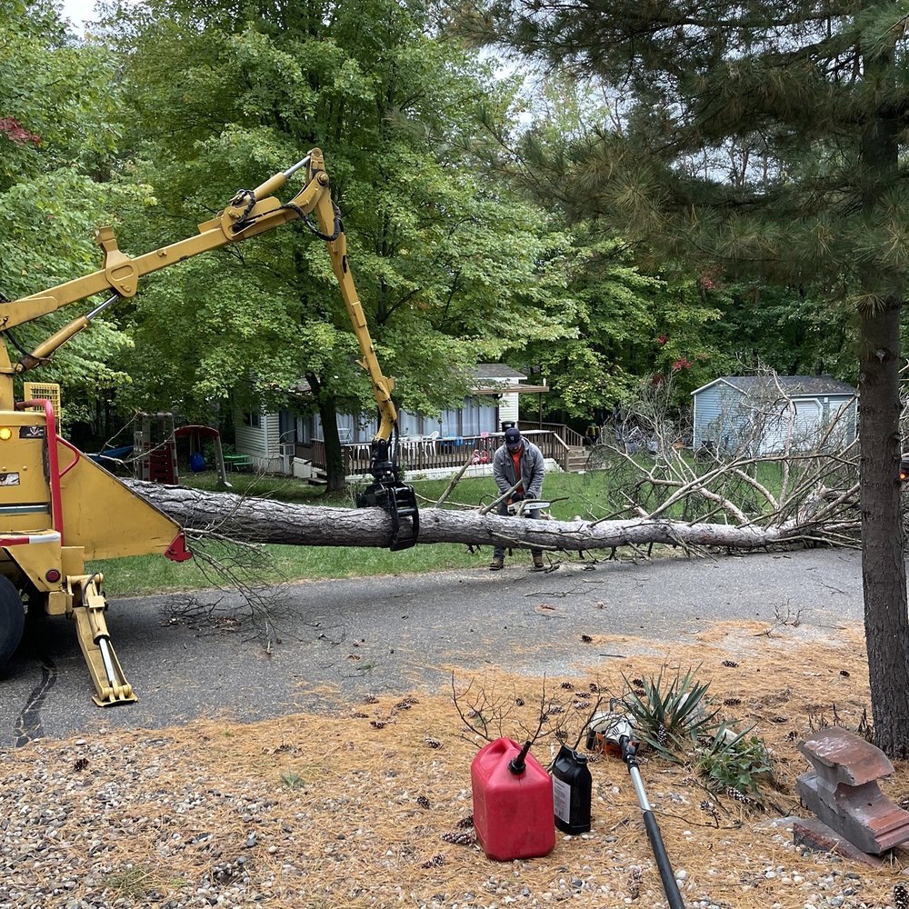 Gallardo Tree Service - Tree Services Near Me