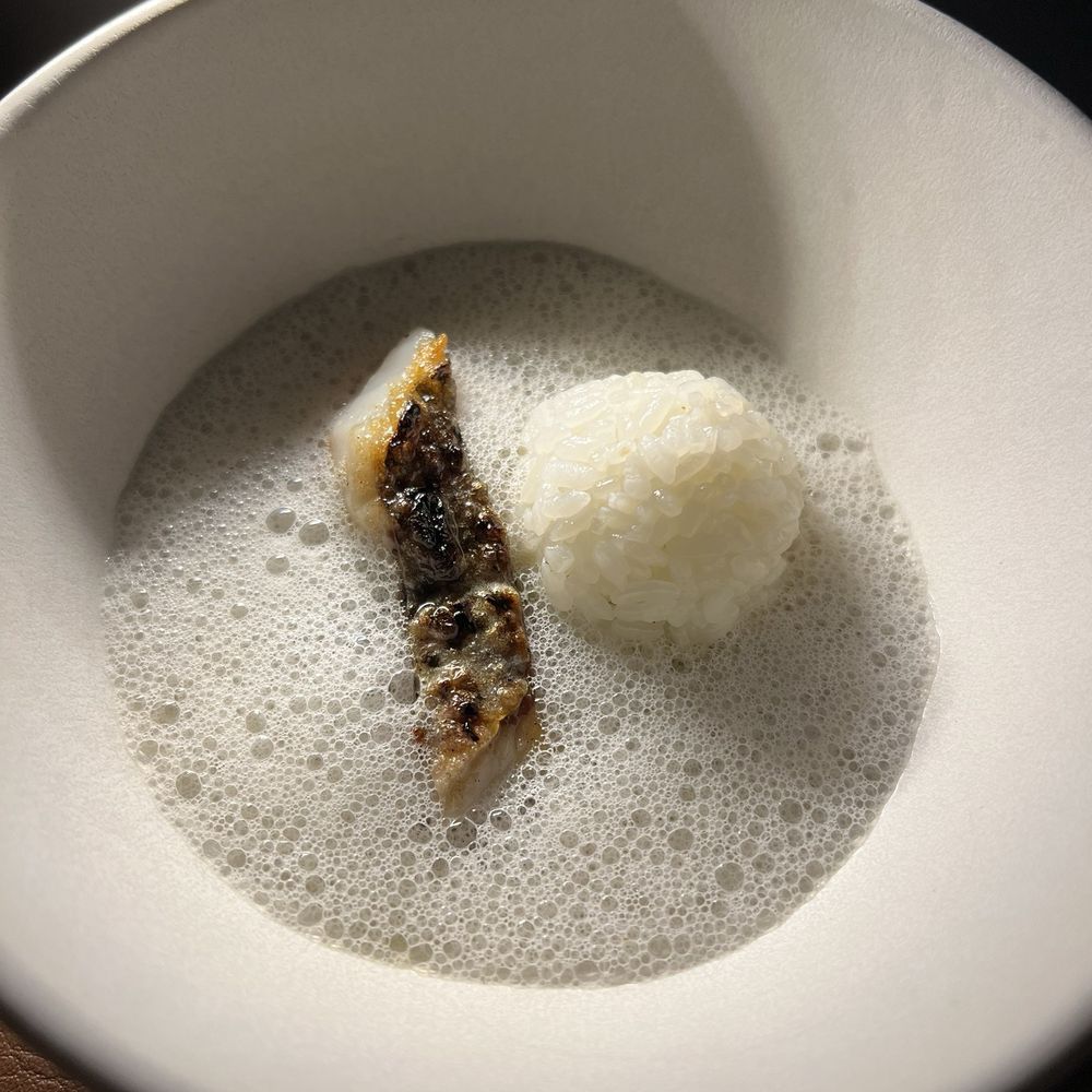 12/4/25: chileatole 12/4/25: chileatole