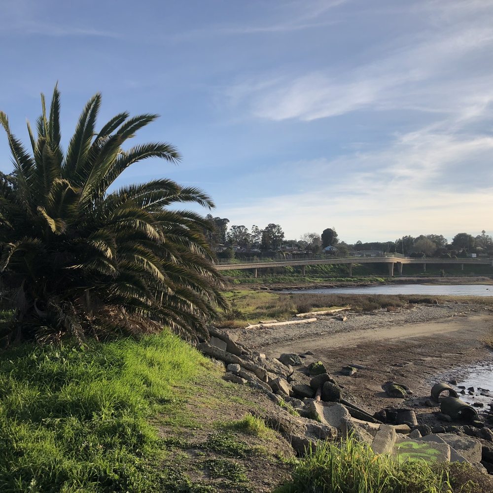 Bayfront Park - Beautiful view ft palm tree - Parks Near Me - Pinole, California Bayfront Park - Beautiful view ft palm tree - Parks Near Me - Pinole, California