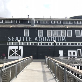 Seattle Aquarium - Aquariums Near Me - Seattle, Washington Seattle Aquarium - Aquariums Near Me - Seattle, Washington