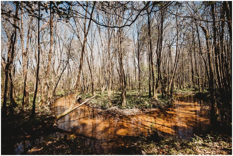 LAND DOWN SOUTH Contact Agent 15 Photos Milton, Florida Real