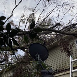 Good Guy Tree Service