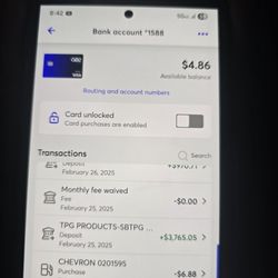 Immi Tax Services - What was actually sent to Armando's account.