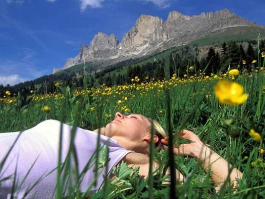 Hotel Pfösl by null