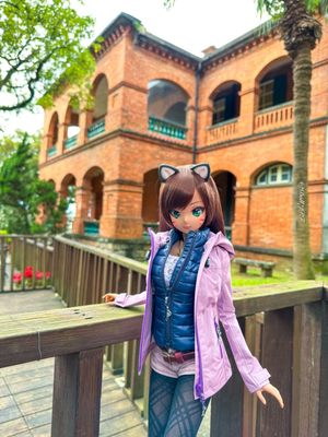 Fort San Domingo by null