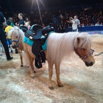 Big Apple Circus - Pony rides! I just want to pet them and pet them, and pet them.... - Performing Arts Near Me - New York, New York