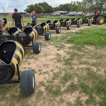 Rockberry Ranch - Bee-ride - Pick Your Own Farms Near Me - Poteet, Texas