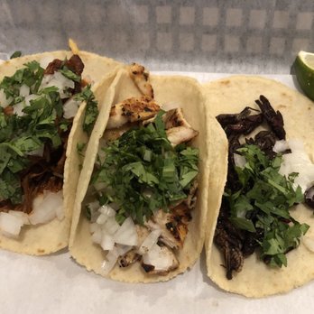 Casa Oaxaca - Grasshopper taco on far right. Pretty strong flavor. - Mexican Near Me - Bethesda, Maryland Casa Oaxaca - Grasshopper taco on far right. Pretty strong flavor. - Mexican Near Me - Bethesda, Maryland