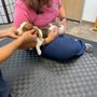 Photo of Circle L Animal Hospital