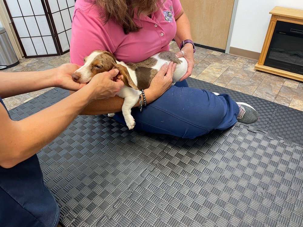 Circle L Animal Hospital Image
