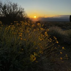 Scottsdale, AZ