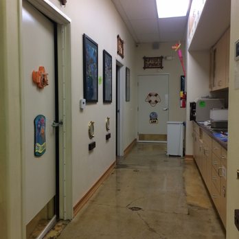 Walden Yu, DDS, APC - Pediatric Dentists Near Me - Culver City, California