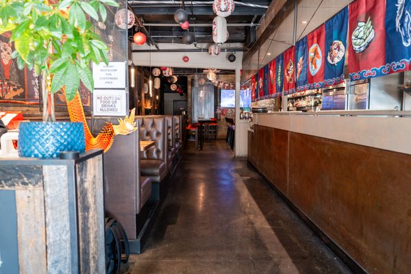 Dragon Horse by null