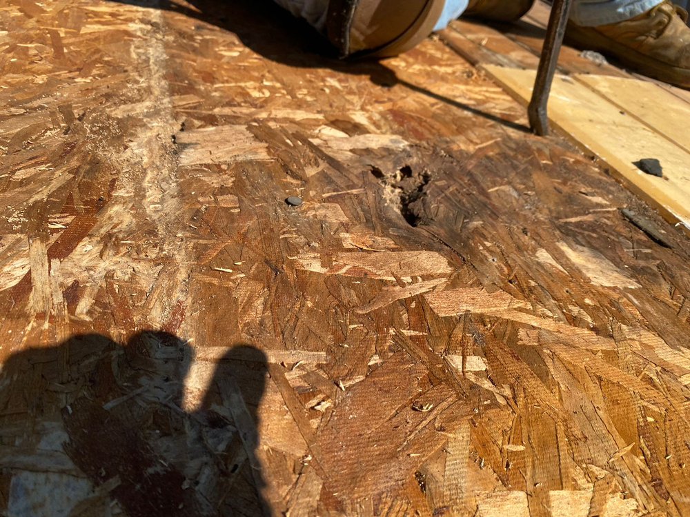 Slide of Spotless Roof