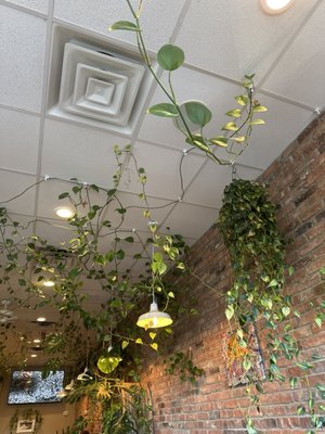 Alfonso's Pizzeria by null