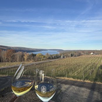 Living Roots Finger Lakes - View from the Patio - Wine Tasting Room Near Me - Hammondsport, New York