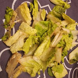 Salad included complimentary ROTTING lettuce ! Salad included complimentary ROTTING lettuce !