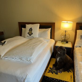 Staypineapple, Hotel FIVE, Downtown Seattle - Room - Hotels Near Me - Seattle, Washington Staypineapple, Hotel FIVE, Downtown Seattle - Room - Hotels Near Me - Seattle, Washington