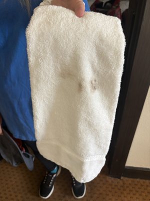 The Holland Hotel by null