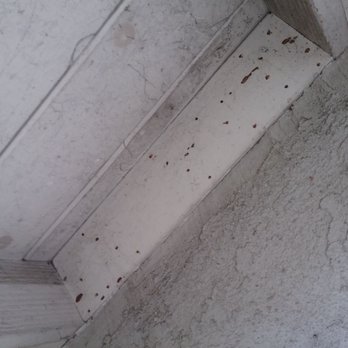 All Pest Pros - Damage revealed - Pest Control Near Me - Palmdale, California