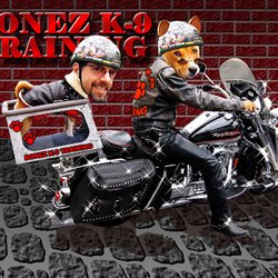 Bonez Garage