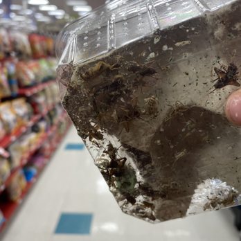 Petco - Dead crickets, different packages for sale... - Pet Stores Near Me - Brea, California