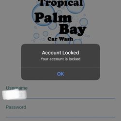 Tropical Palm Bay Car Wash