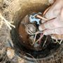 Photo of Grant Irrigation Repair