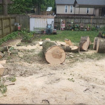 Ecklund's Tree Services - a pile of cut logs - Landscaping Near Me Ecklund's Tree Services - a pile of cut logs - Landscaping Near Me