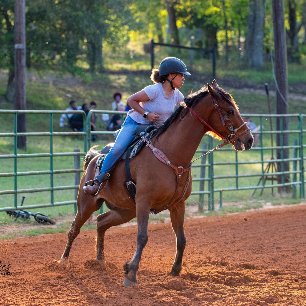TOP 10 BEST Horse Boarding in Bulloch County, GA - Updated 2026 - Yelp