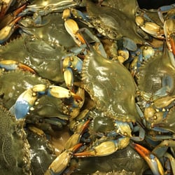 138 Fish Market