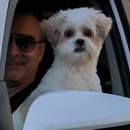 Niko is so excited to go to Romp.