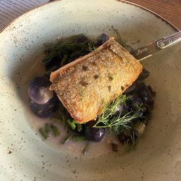 salmon picatta salmon picatta