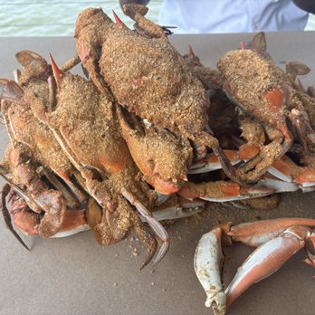 Fisherman's Crab Deck - Lg crabs - Seafood Near Me - Grasonville, Maryland Fisherman's Crab Deck - Lg crabs - Seafood Near Me - Grasonville, Maryland