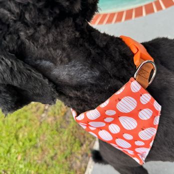 LILO'S Mobile Pet Spa - Pet Groomers Near Me