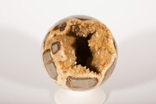 World Museum of Natural History by null